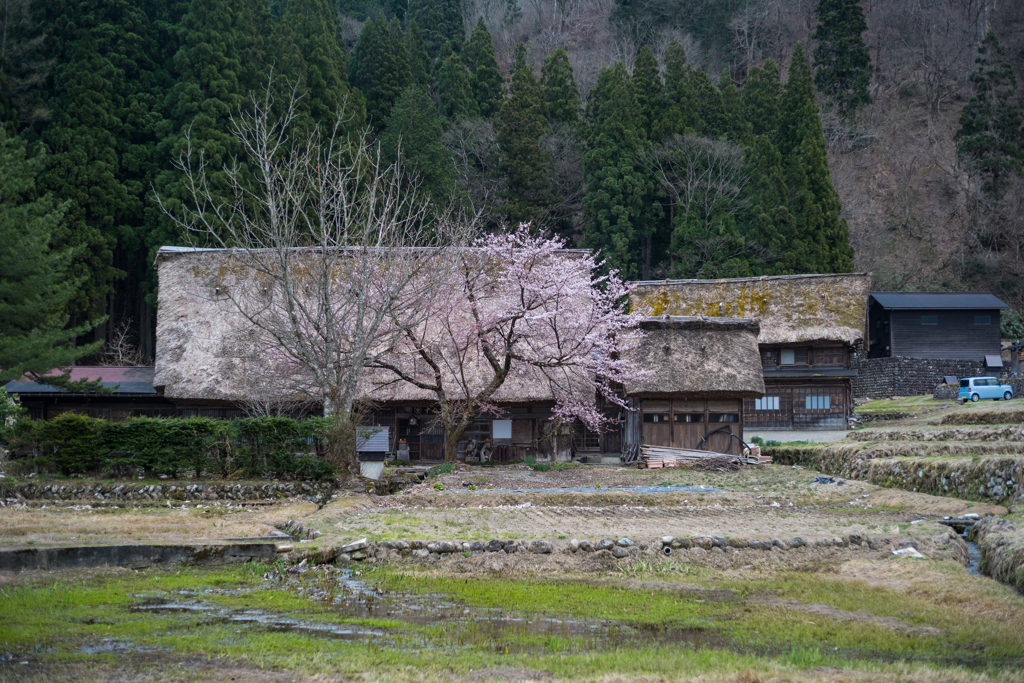 里の春