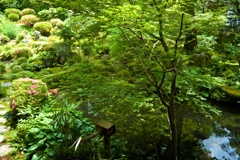 夏の庭園