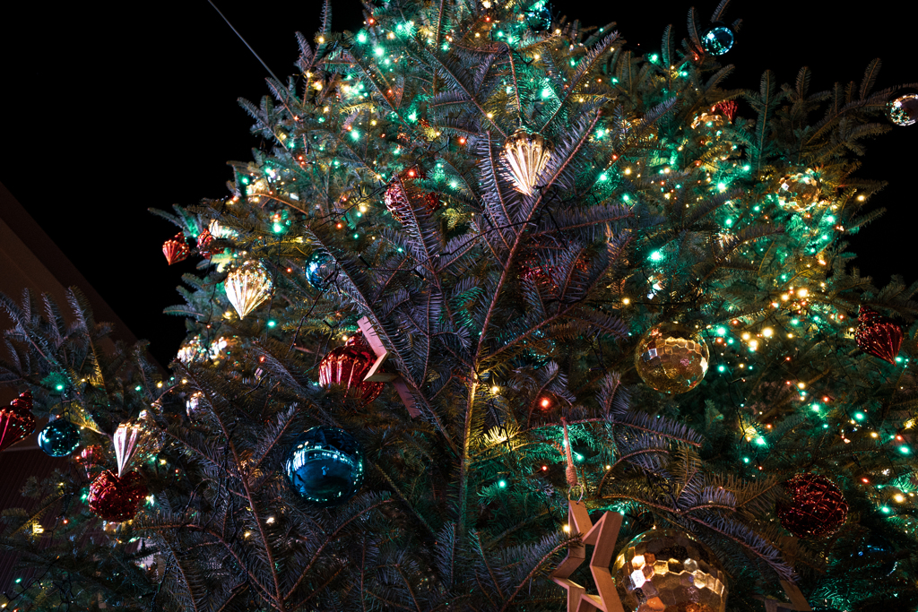 クリスマスツリー