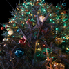 クリスマスツリー