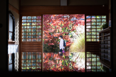 人と紅葉の映り込み