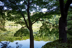 夏の影