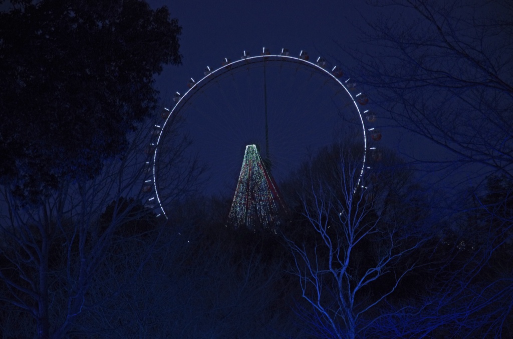 Ferris wheel at night