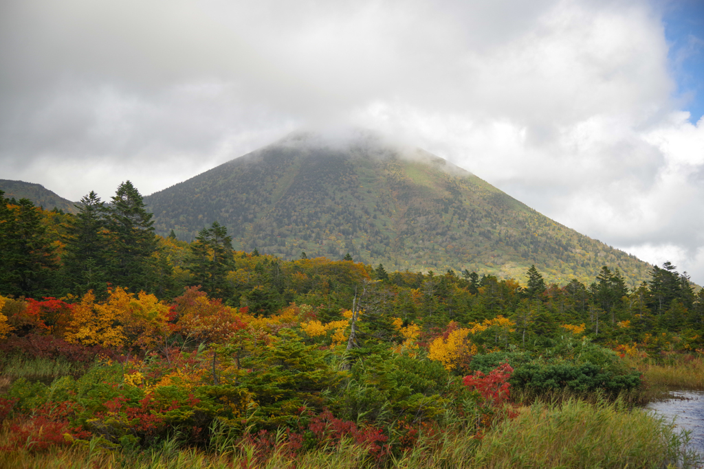 睡蓮沼からの八甲田山