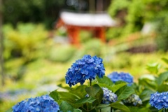 三室戸寺