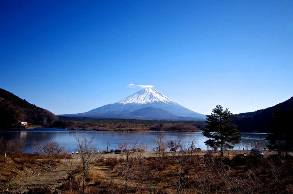 あけましておめでとうございます