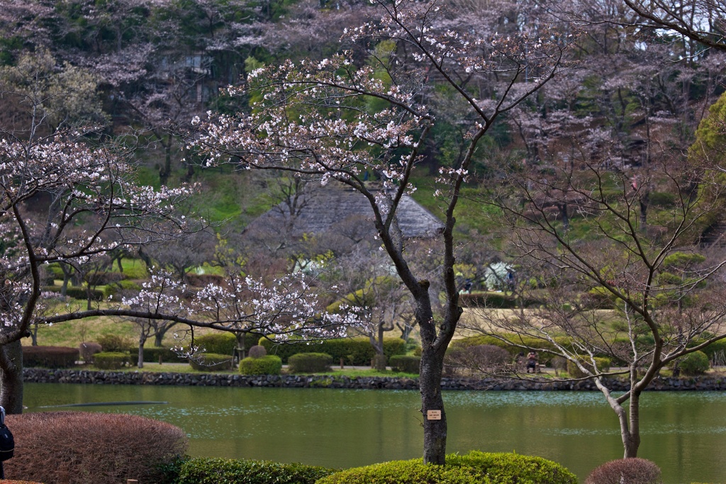 春の始まり