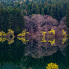 北竜湖