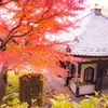 紅の寺