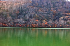 小沼と岳樺