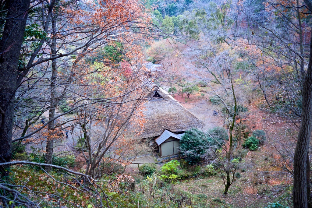 あけましておめでとうございます