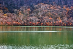 小沼　紅葉