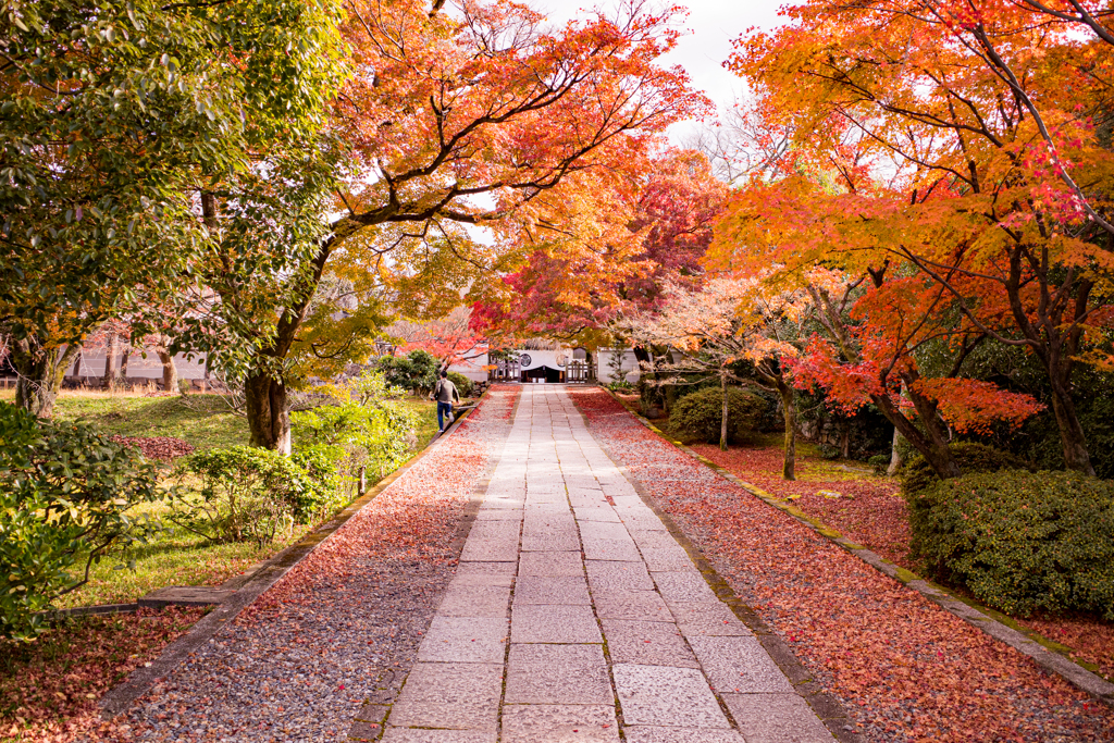 紅の参道