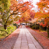 紅の参道