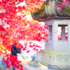 灯籠と紅葉