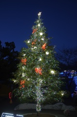 tree