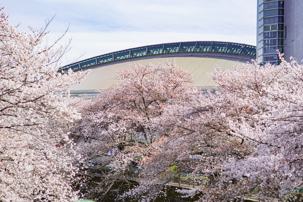 恩田川定番の図