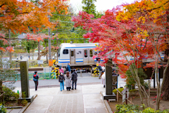 紅葉電車