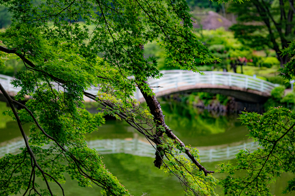 たいこ橋