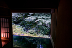 部屋の灯りと庭園の緑