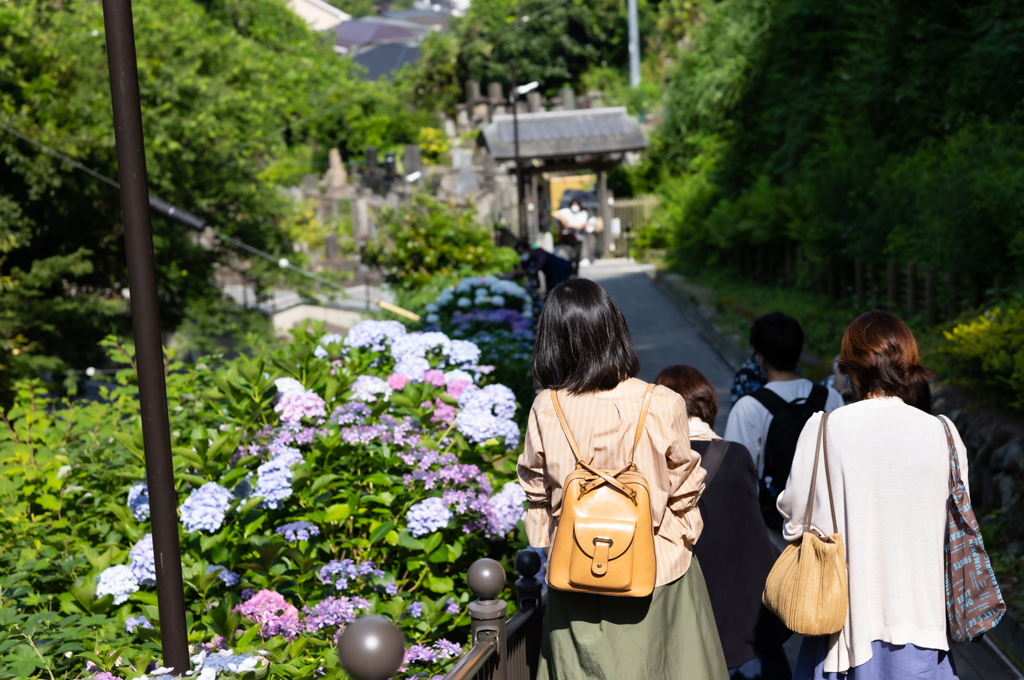 成就院参道