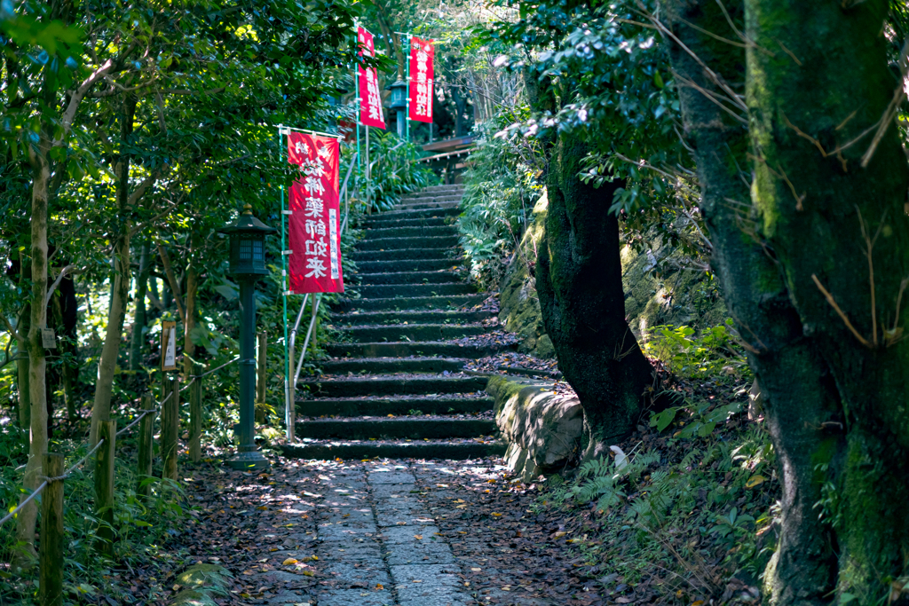 参道
