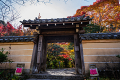秋への入り口