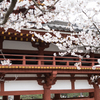 花影