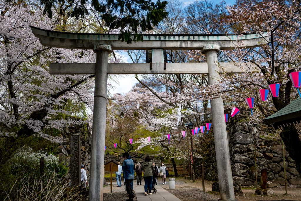 鳥居と春