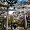 鳥居と春