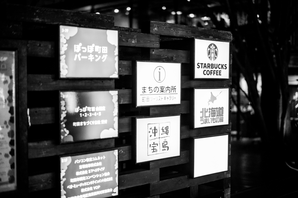 夜の案内