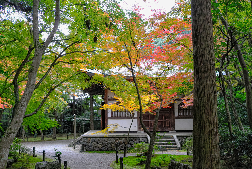 地蔵院