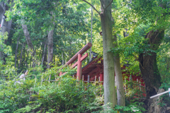 初夏の詣