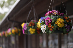 年中無休ポット