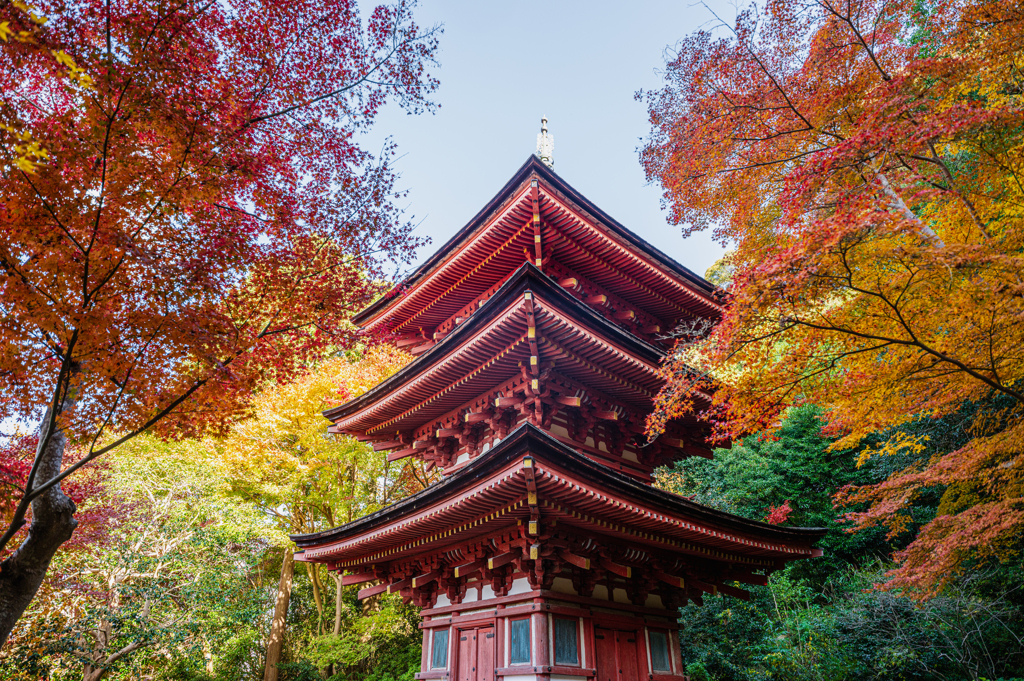 青空と紅葉と建築と