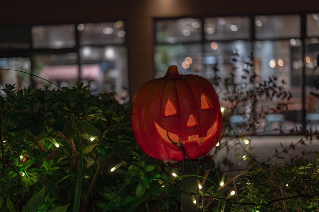 ナイトハロウイン