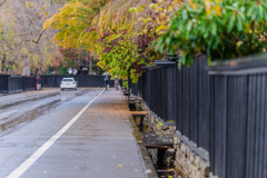 雨の通り路