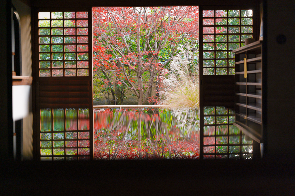 浮いた映り込み