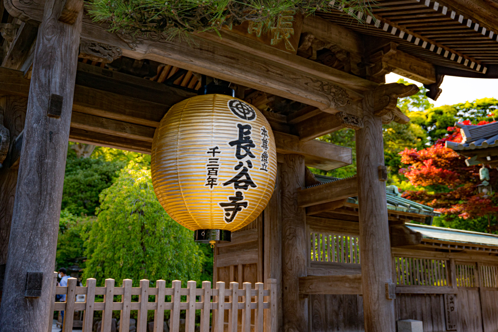 初夏の長谷寺