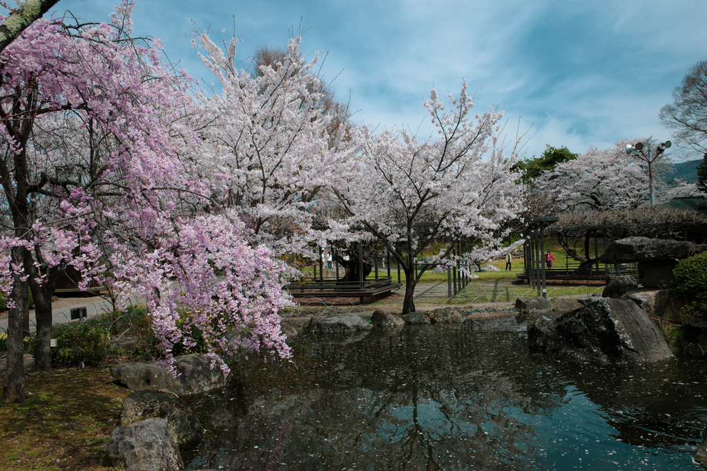 春の庭園