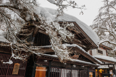 雪の中ので