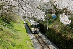 桜鉄道