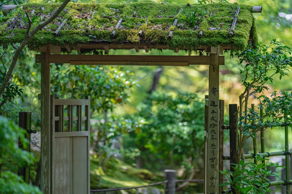 緑の門