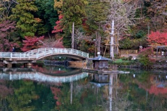 薬師池公園　秋