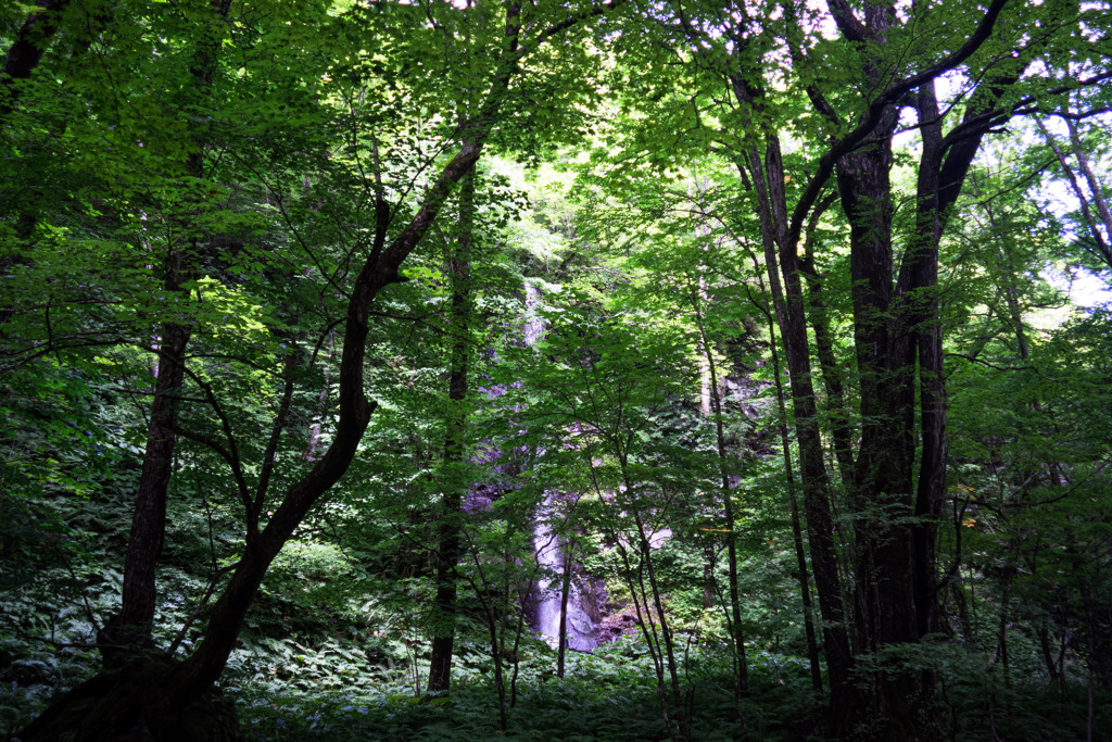 白布の滝