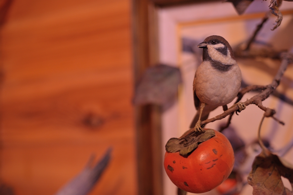 BIRDCARVING (11)