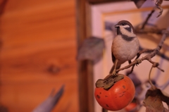BIRDCARVING (11)