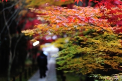 京都⑤