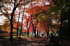 京都③