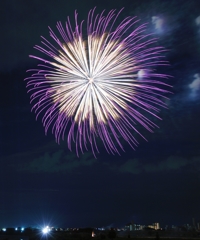 14_nishibi (13)